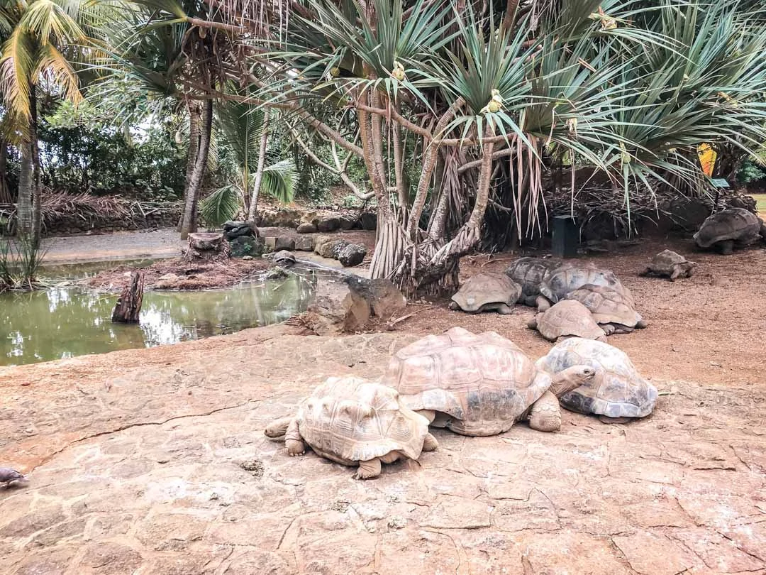 mauritius la vanille naturepark 2 mauritius la vanille naturepark 2