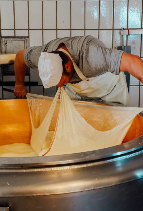 schaukaeserei troepolacher alm