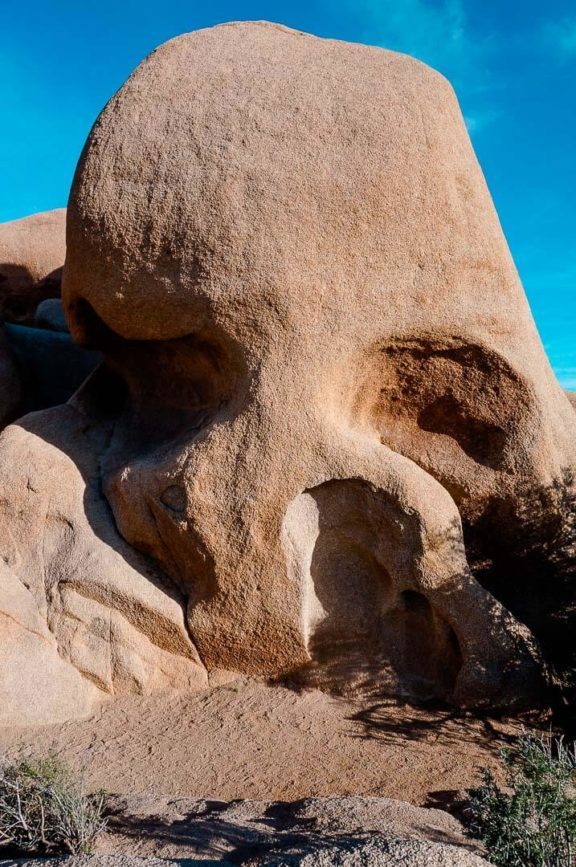 skull rock joshua tree national park