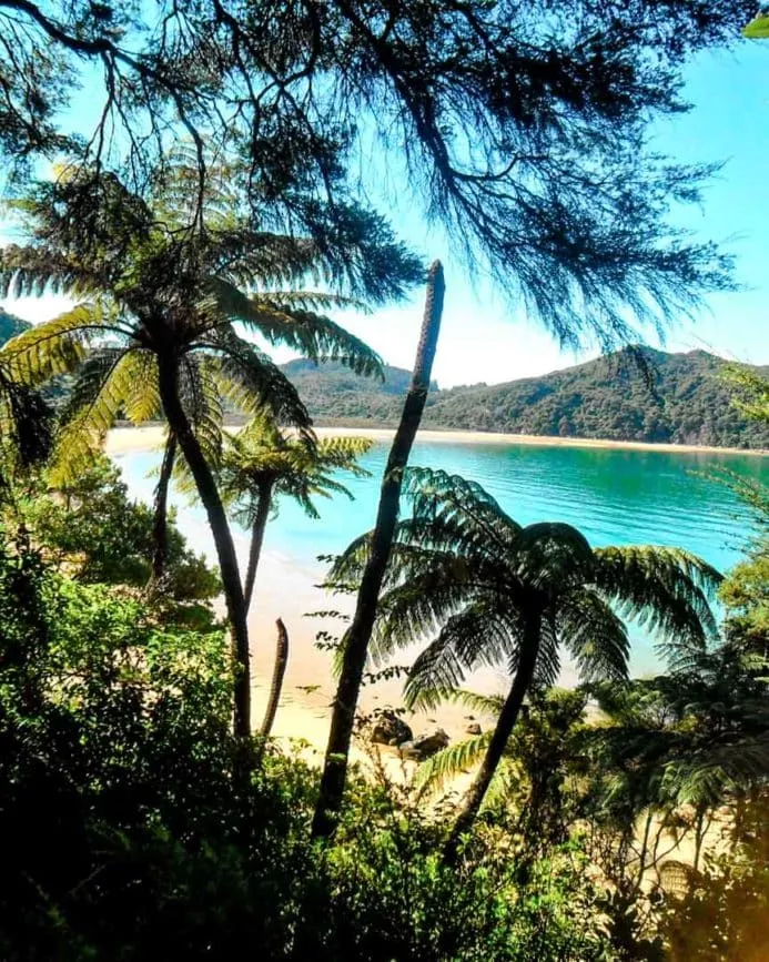 abel tasman nationalpark 3 abel tasman nationalpark 3