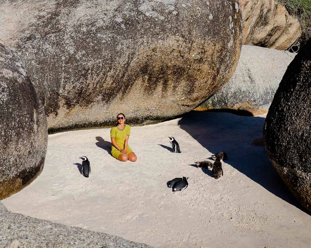 Kap der Guten Hoffnung Pinguine