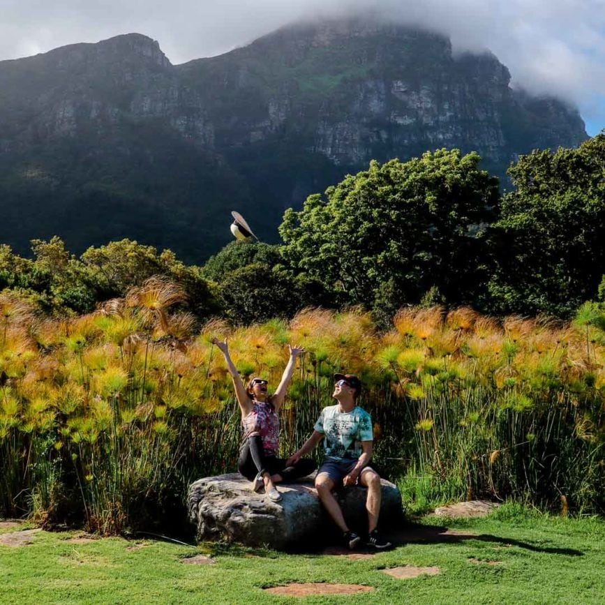 kapstadt botanischer garten kirstenbosch 5