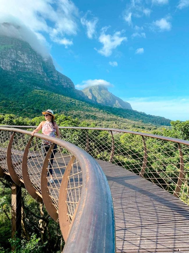 kapstadt kirstenbosch baumwipfelweg