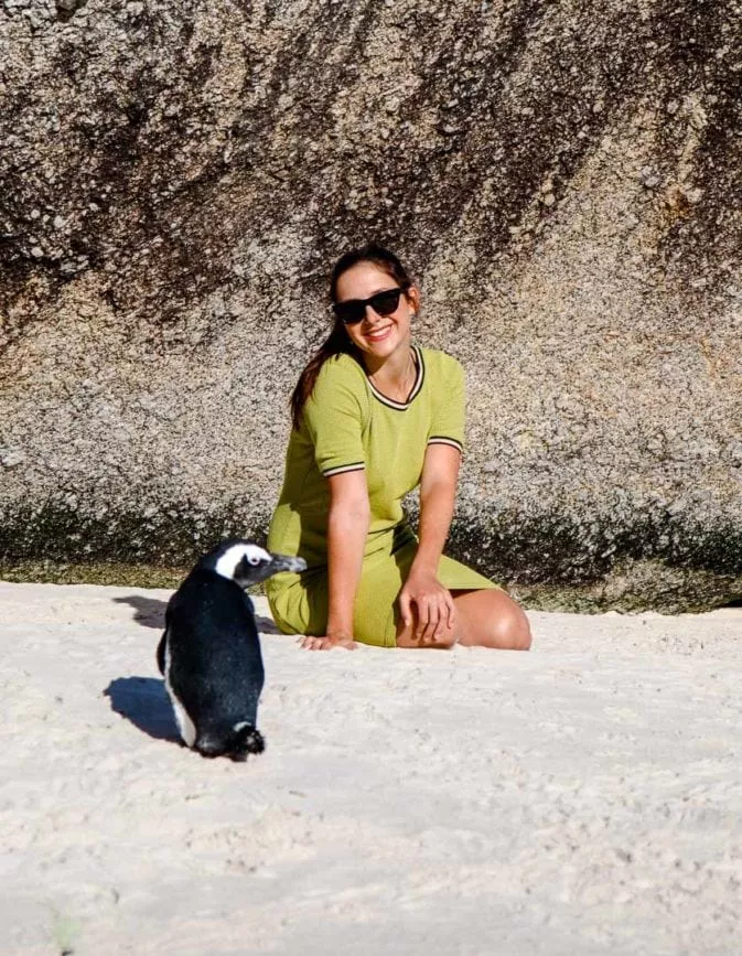 kapstadt pinguine boulders beach