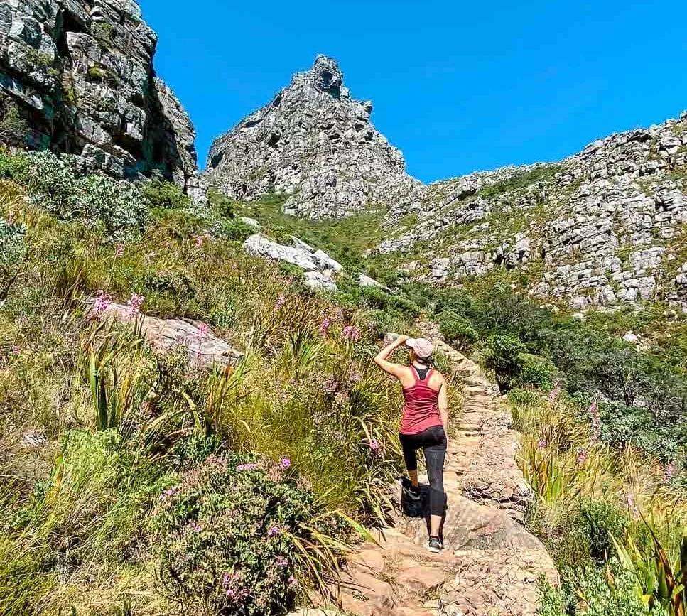 kapstadt tafelberg platteklip gorge