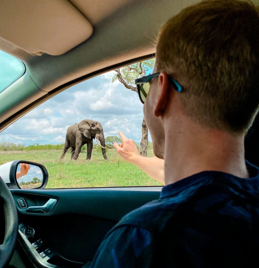 kruger nationalpark safari 2