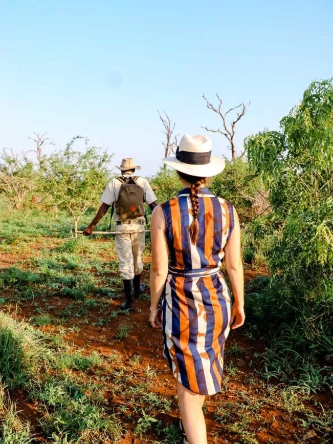 safari suedafrika bush walk