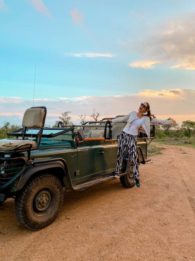 safari suedafrika krueger nationalpark