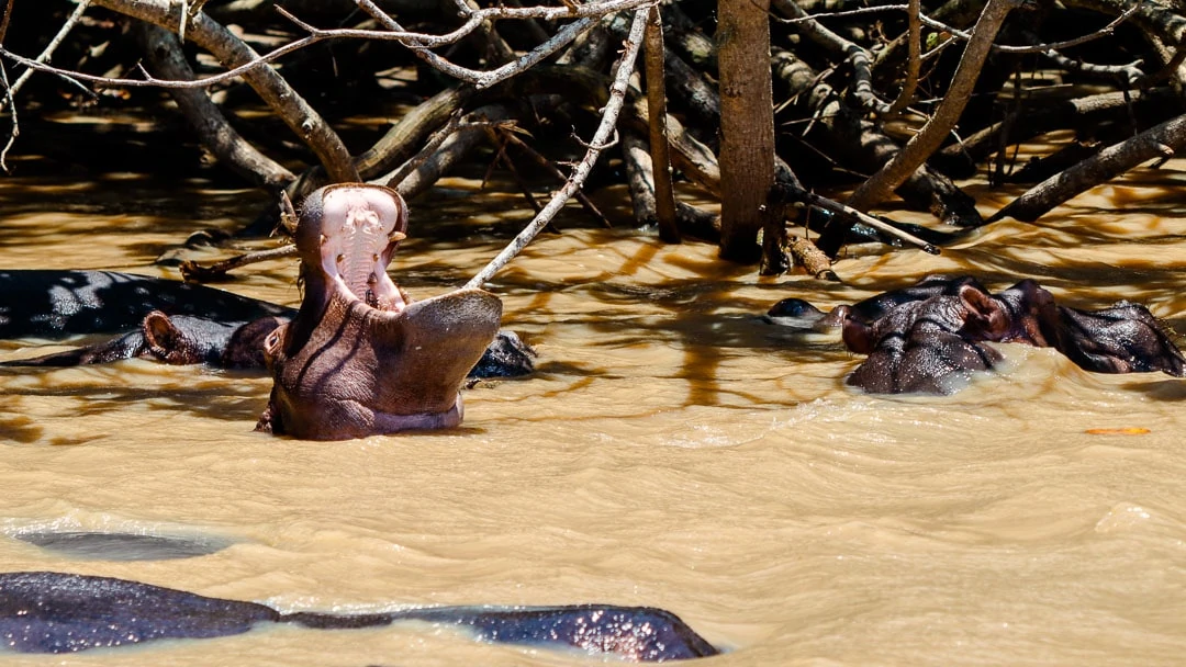 santa lucia sehenswuerdigkeiten