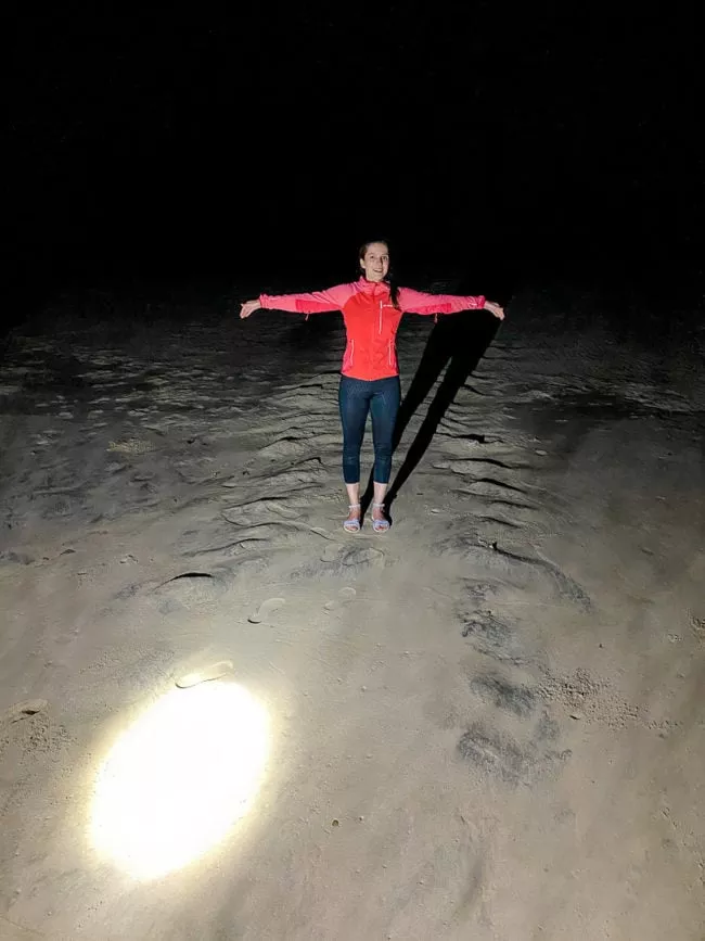 St. Lucia südafrika Spuren Lederschildkröte