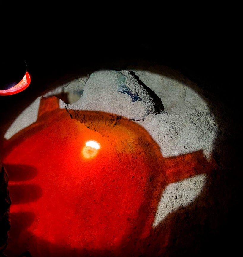 st lucia suedafrika turtle tour loggerhead turtle