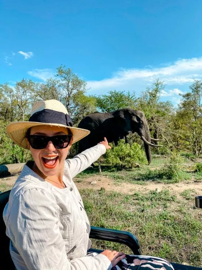 suedafrika manyeleti game reserve