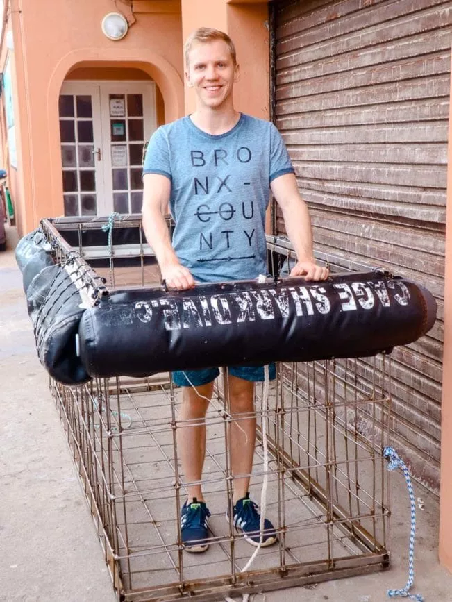 suedafrika mit haien schnorcheln