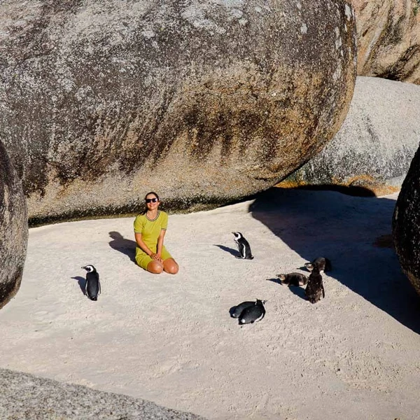 suedafrika pinguine boulders beach Südafrika Pinguine Boulders Beach
