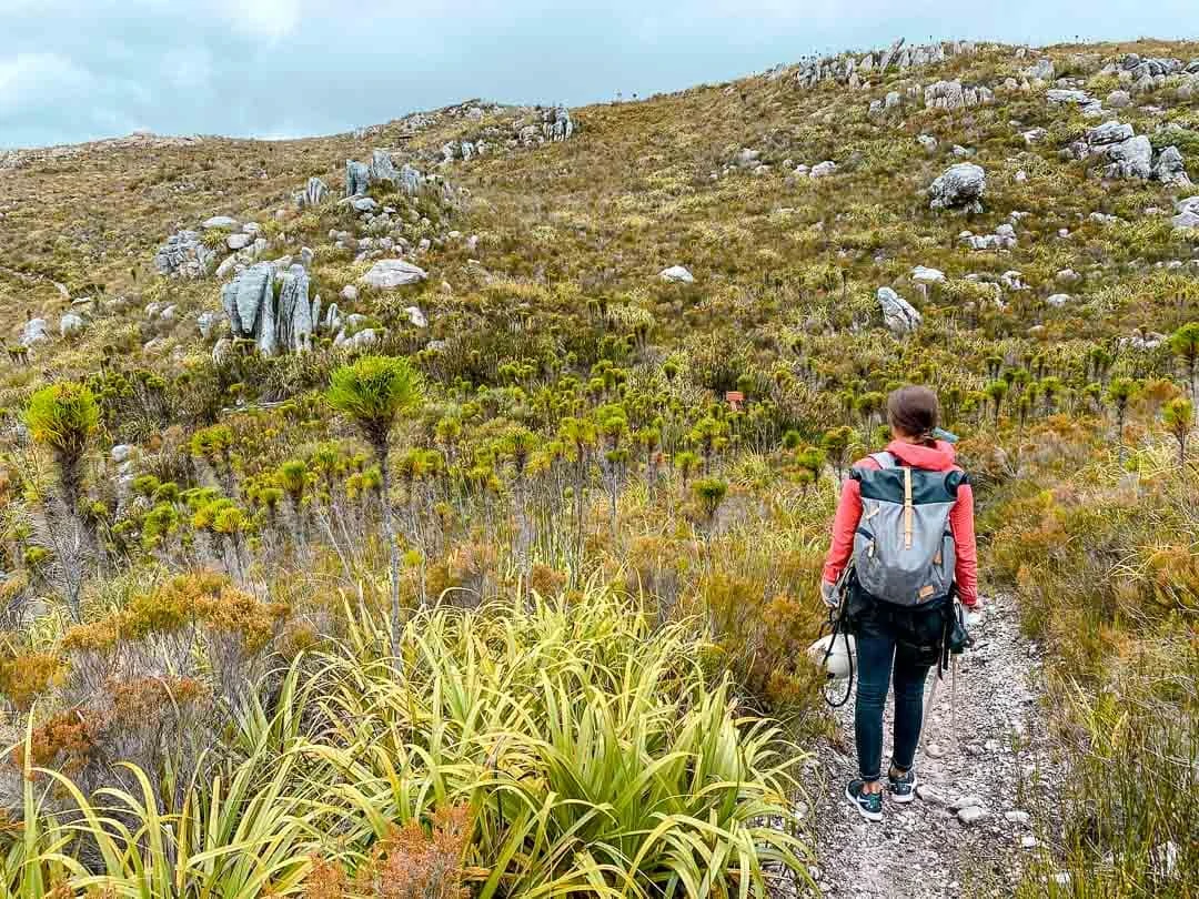 suedafrika rundreise hottentots holland nature reserve suedafrika rundreise hottentots holland nature reserve