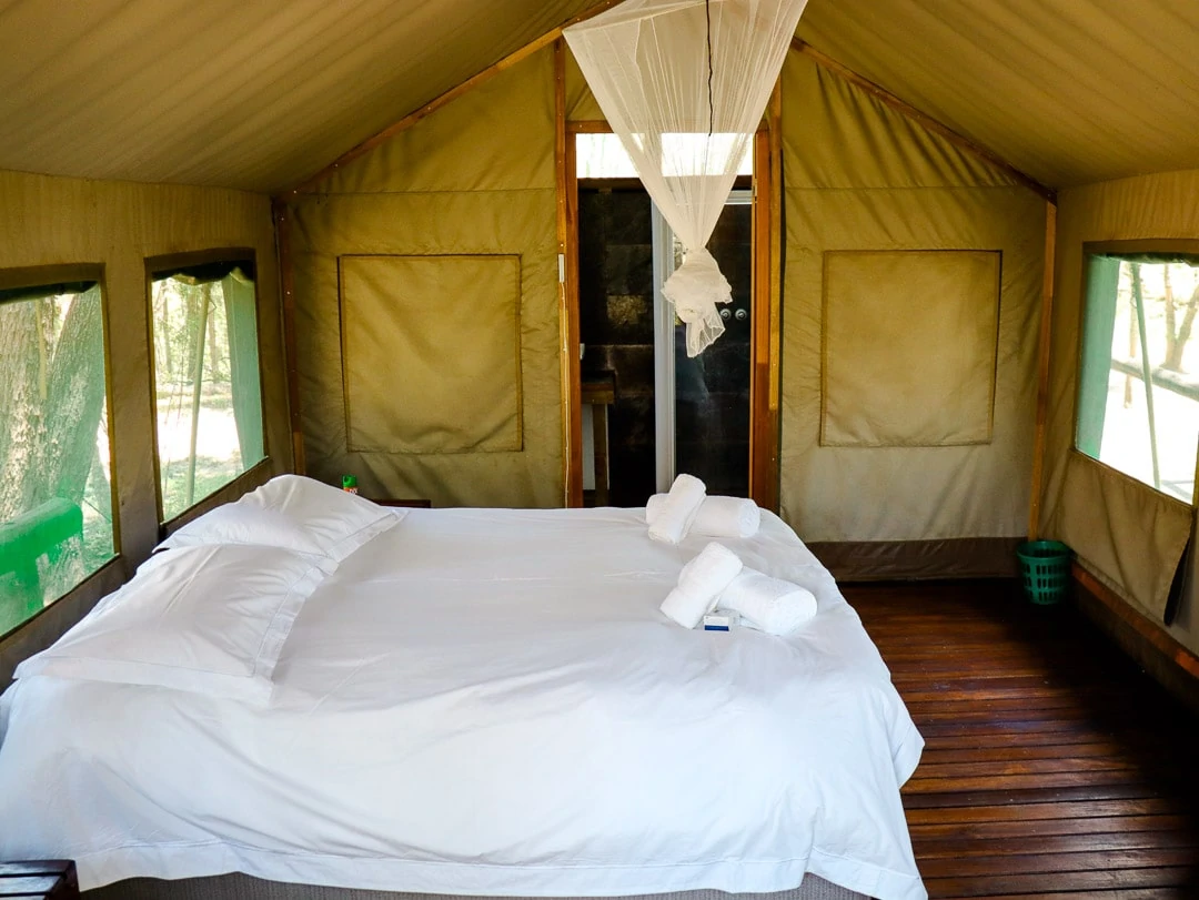 suedafrika safari lodge guenstig 2