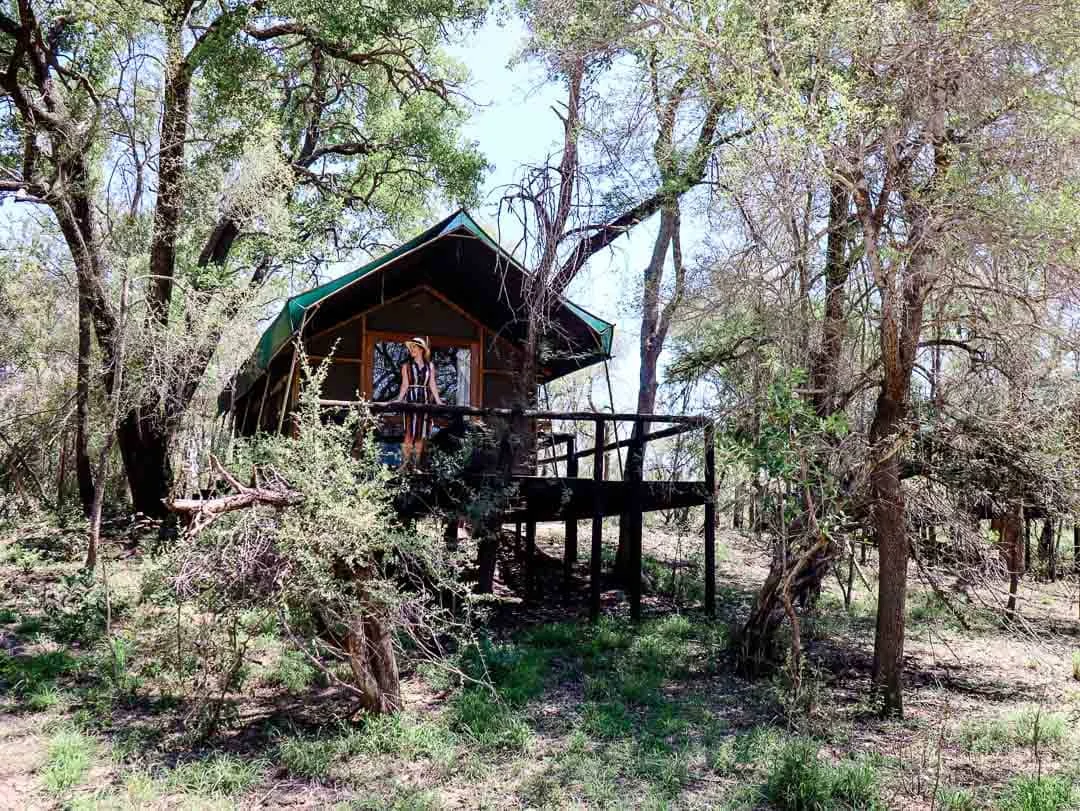 suedafrika safari lodge guenstig 3