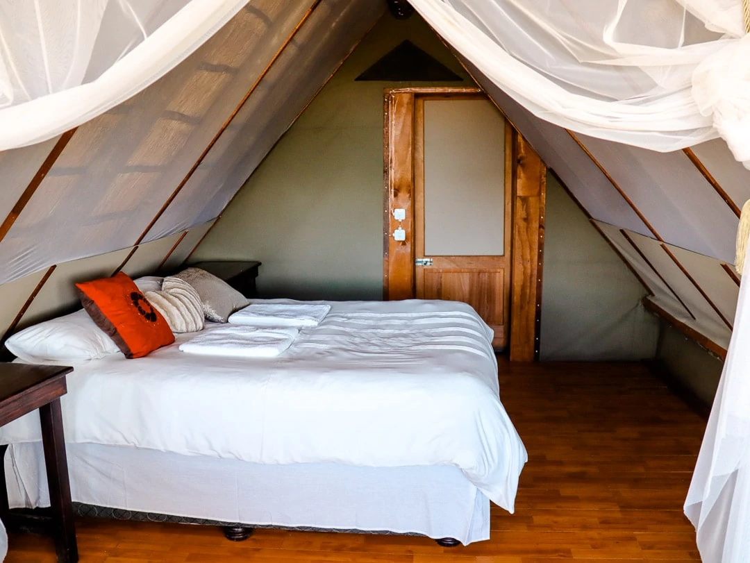 suedafrika safari lodge