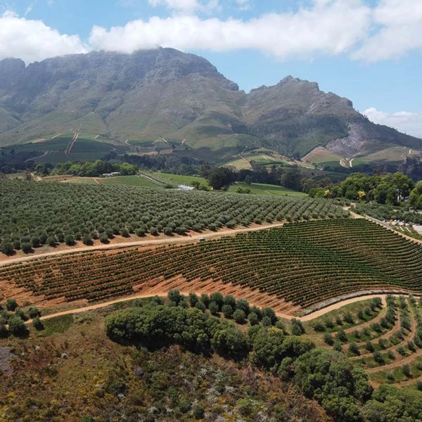 suedafrika stellenbosch sehenswuerdigkeiten