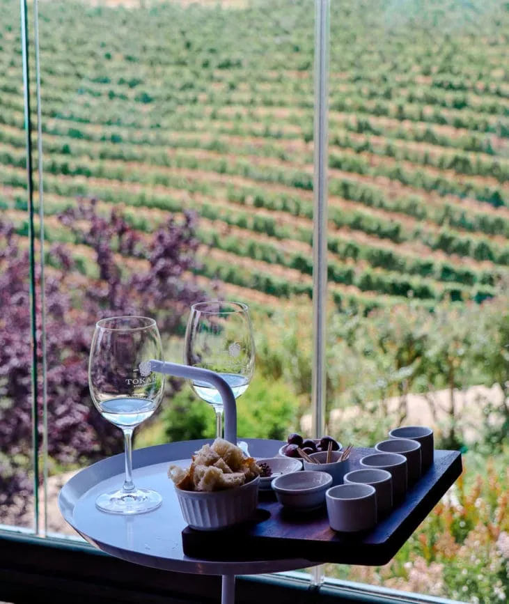 wine tasting stellenbosch