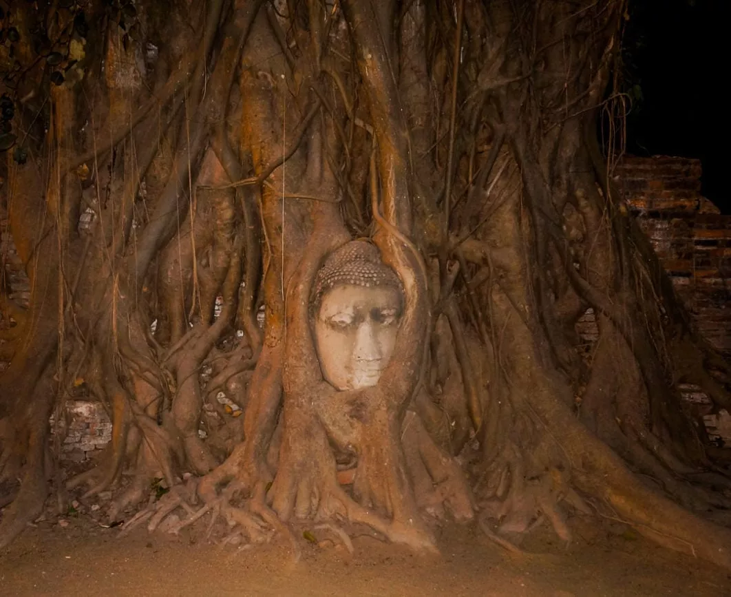 Bangkok Tagesausflug Ayyuthaya 5