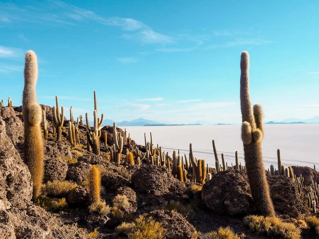salar de uyuni bolivien Bolivien Peru Backpacking