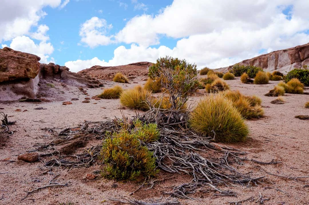 salzwueste bolivien landschaft Bolivien Peru Backpacking Route