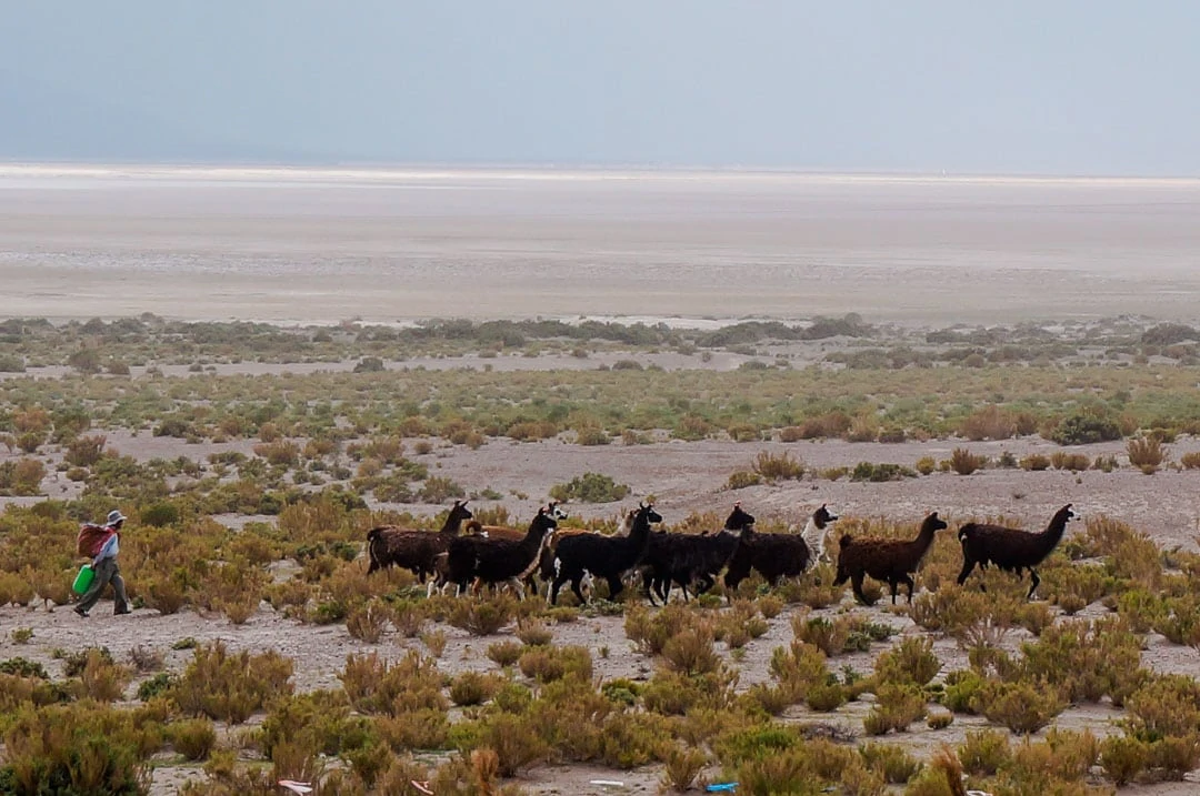 salzwüste bolivien landschaft Bolivien Peru Backpacking Route
