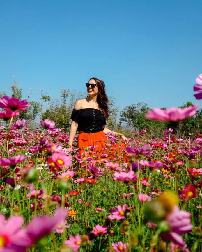 chiang rai singha park 2