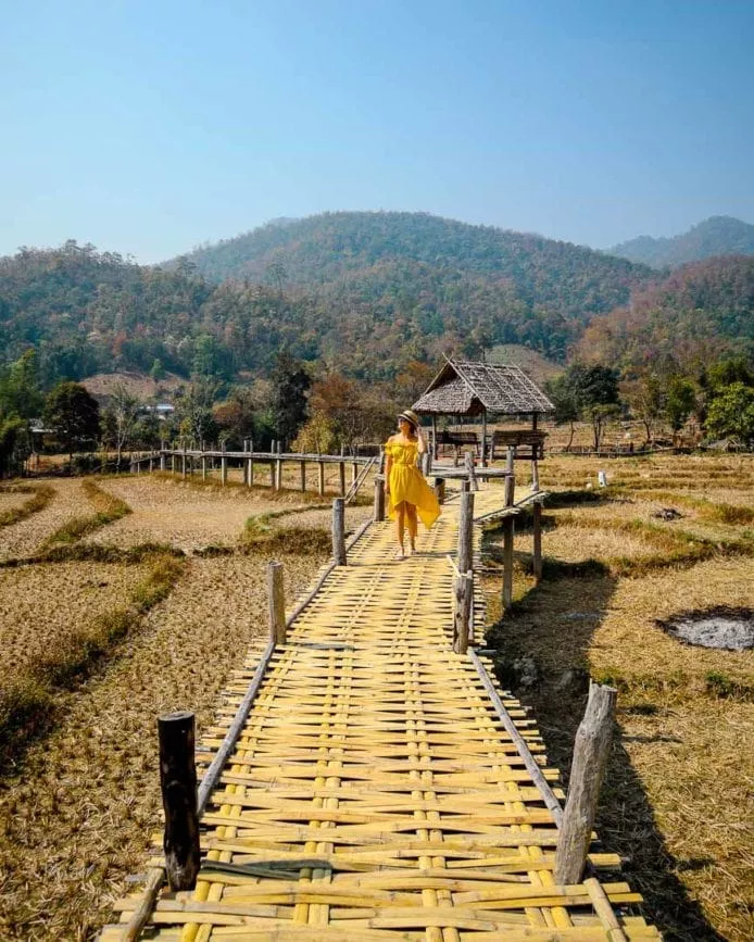 pai bamboo bridge 6