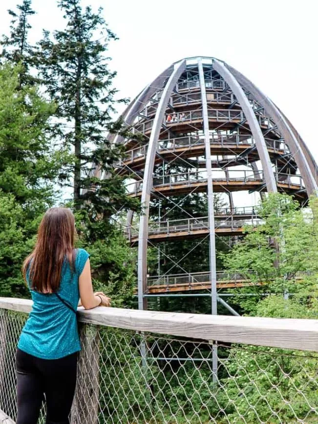 bayerischer Wald Wanderurlaub Tipps