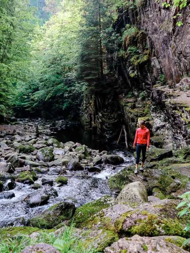 Wanderurlaub bayerischer Wald