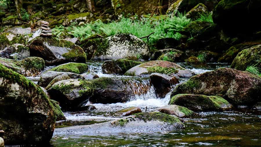 Wanderurlaub bayerischer Wald