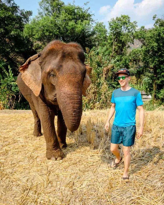 chiang Mai Elefanten im Rescue Camp 2