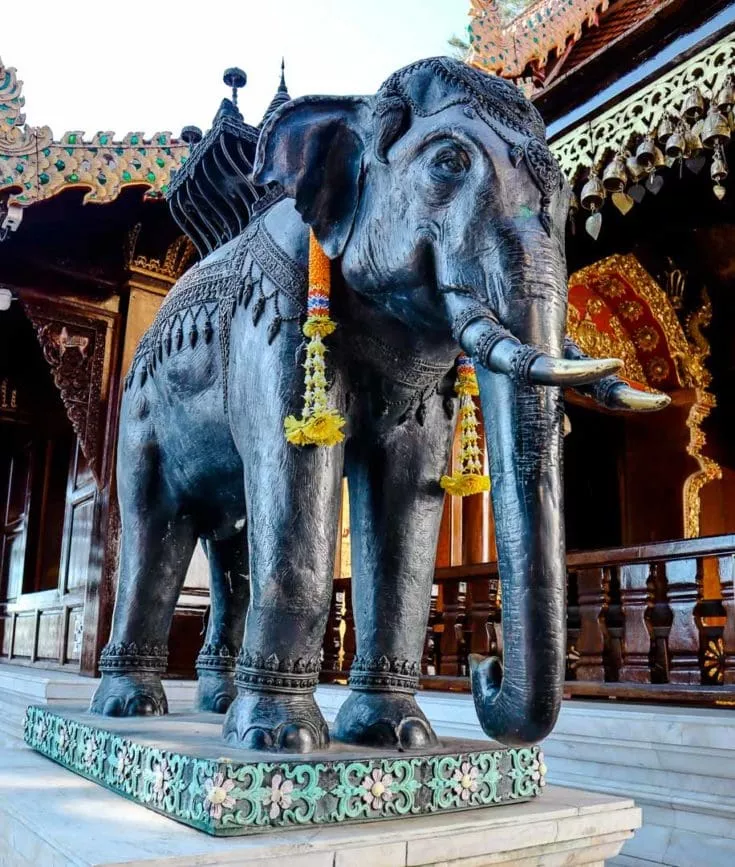 Chiang Mai Wat Phra That Doi Suthep Berühmter Elefant