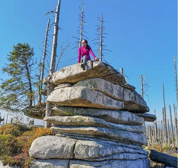 Wanderurlaub bayerischer Wald