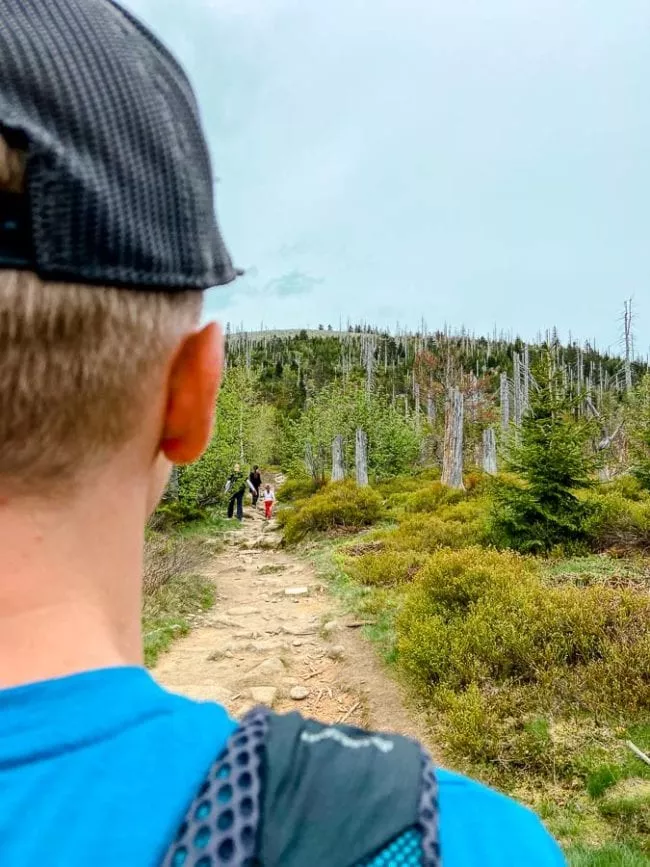 bayerischer Wald Wanderurlaub Tipps