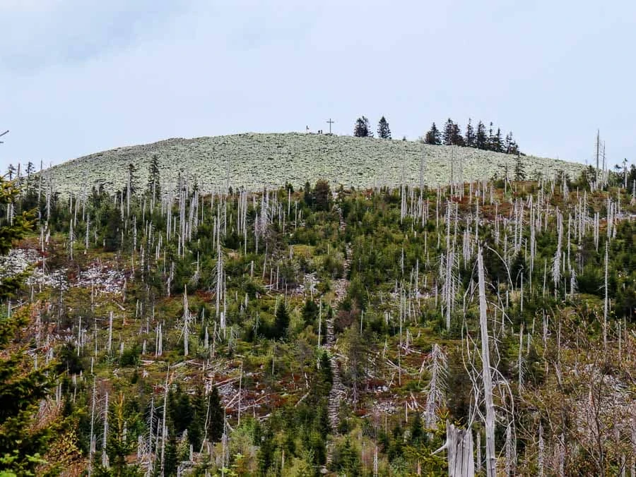 bayerischer Wald Wanderurlaub Tipps