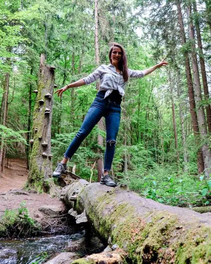 Nationalpark Bayerischer Wald Tipps