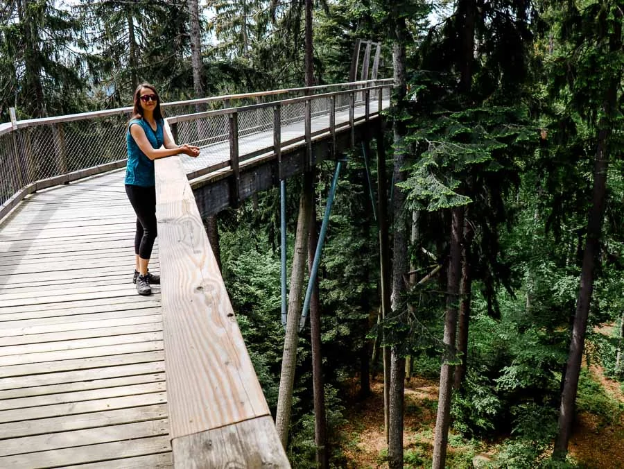 baumwipfelweg bayerischer wald 6 1 von 1 Bayerischer Wald Baumwipfelweg