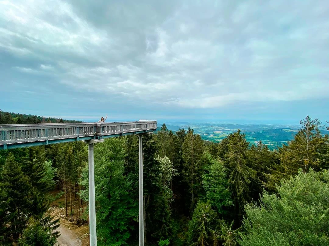 baumwipfelweg st englmar baumwipfelweg st englmar