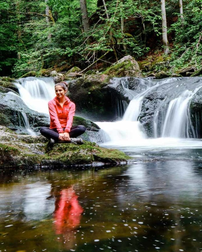 bayerischen wald buchberger leite 2 bayerischen wald buchberger leite 2