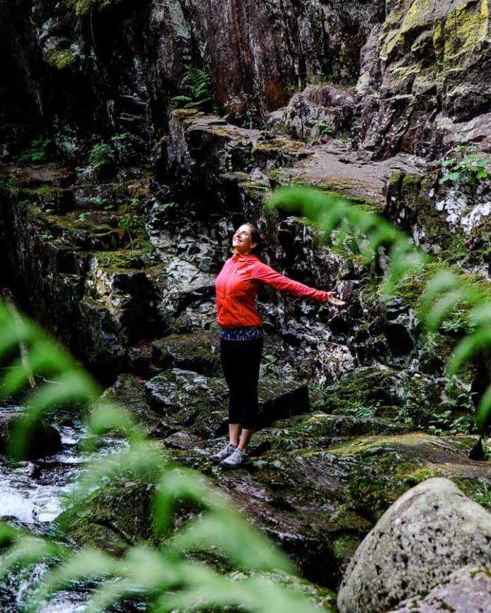 bayerischen wald buchberger leite 3 bayerischen wald buchberger leite 3