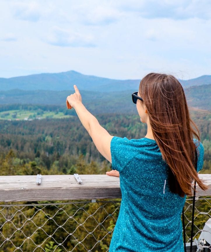 bayerischer wald baumwipfelweg aussicht bayerischer wald baumwipfelweg aussicht
