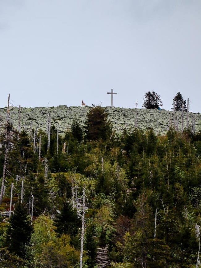 bayerischer wald lusen blockmeer bayerischer wald lusen blockmeer