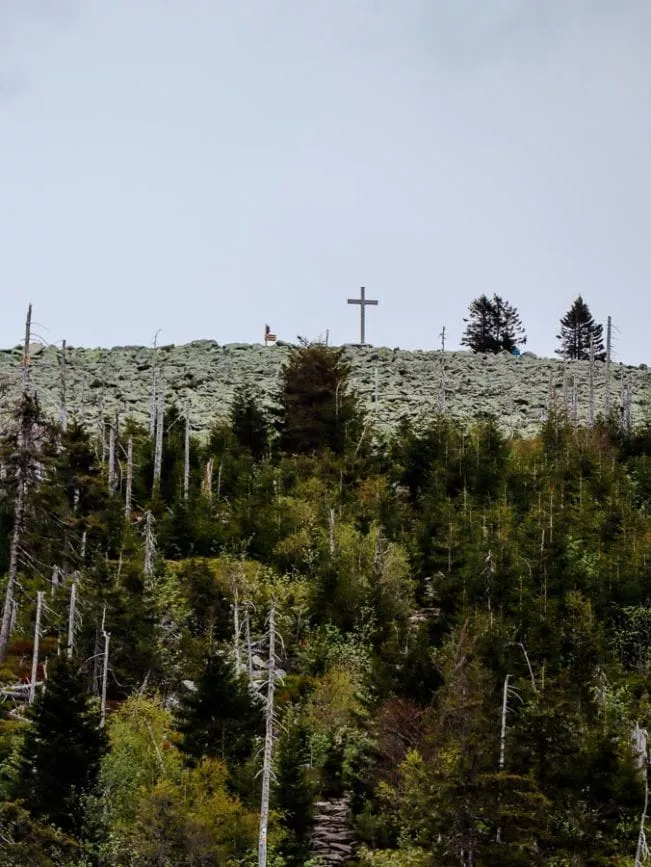 bayerischer wald lusen blockmeer bayerischer wald lusen blockmeer