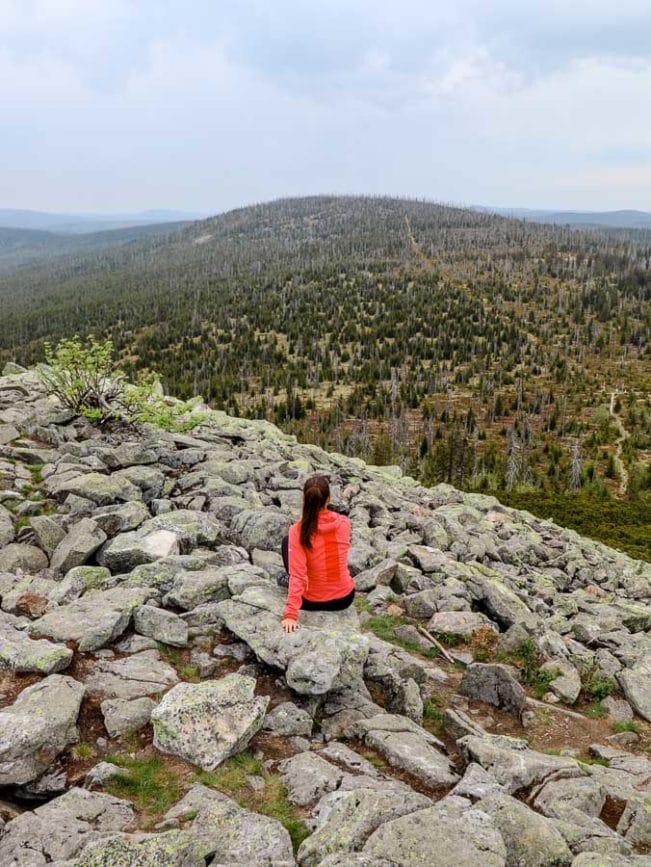 bayerischer wald lusen gipfel bayerischer wald lusen gipfel