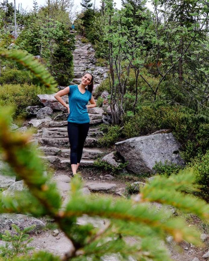 bayerischer wald lusen himmelsleiter bayerischer wald lusen himmelsleiter