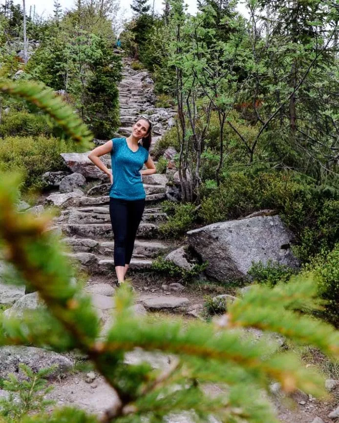 bayerischer wald lusen himmelsleiter bayerischer Wald lusen himmelsleiter
