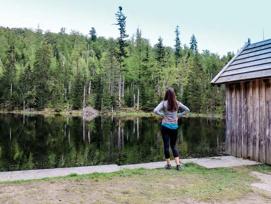 bayerischer wald lusen martinsklause bayerischer Wald lusen Martinsklause